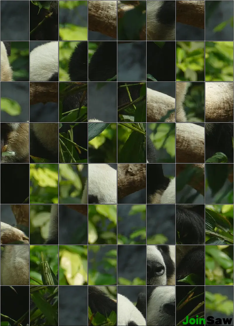 Daily Puzzle 2026-04-16