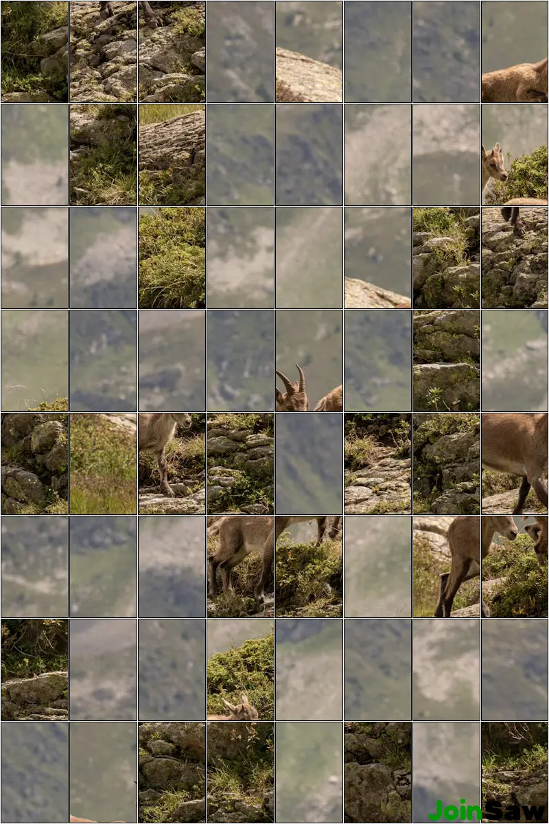 Daily Puzzle 2026-05-31
