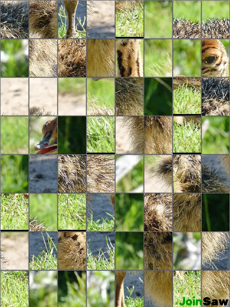 Daily Puzzle 2026-07-16